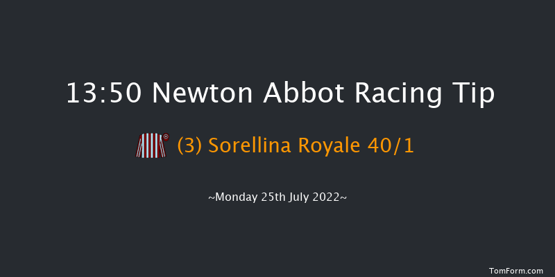 Newton Abbot 13:50 Maiden Hurdle (Class 4) 22f Sun 17th Jul 2022