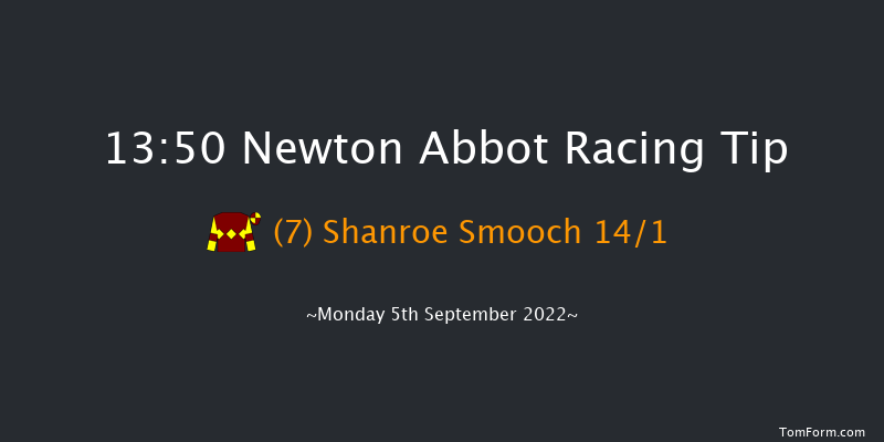 Newton Abbot 13:50 Handicap Chase (Class 5) 26f Tue 30th Aug 2022