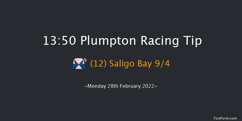 Plumpton 13:50 Maiden Hurdle (Class 4) 16f Mon 14th Feb 2022