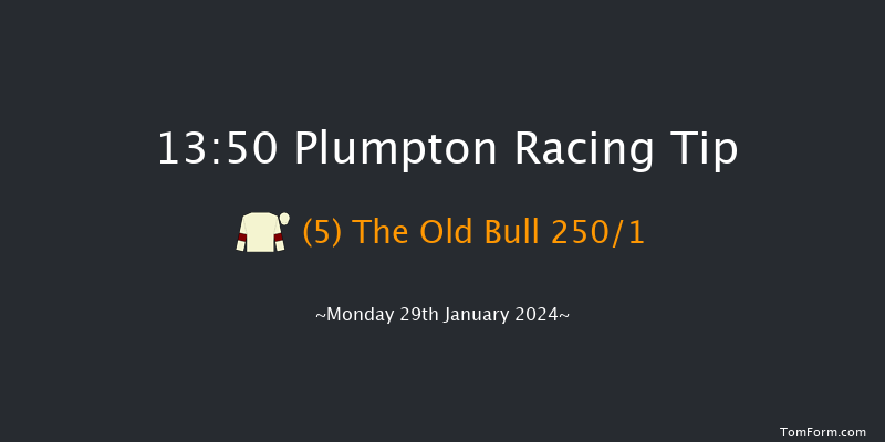 Plumpton  13:50 Maiden Hurdle
(Class 4) 20f Mon 22nd Jan 2024