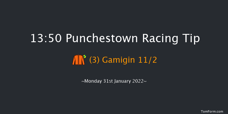 Punchestown 13:50 Handicap Hurdle 16f Mon 17th Jan 2022