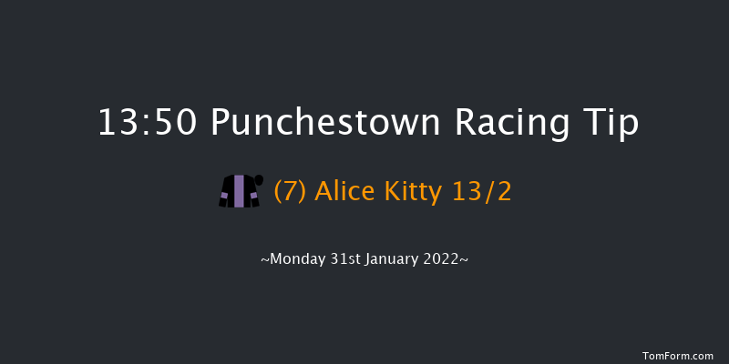 Punchestown 13:50 Handicap Hurdle 16f Mon 17th Jan 2022