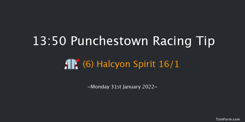 Punchestown 13:50 Handicap Hurdle 16f Mon 17th Jan 2022