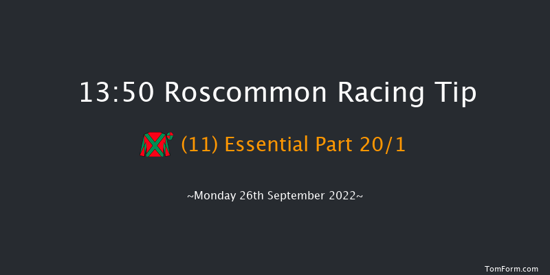 Roscommon 13:50 Maiden Hurdle 15f Mon 29th Aug 2022