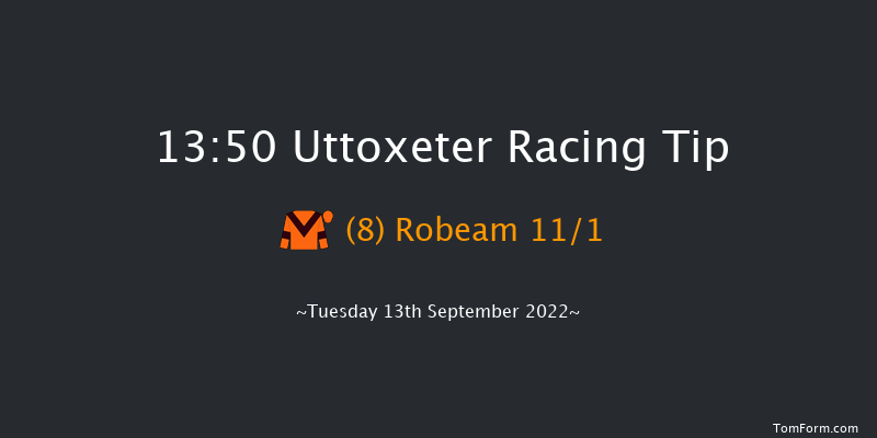 Uttoxeter 13:50 Handicap Hurdle (Class 5) 23f Wed 7th Sep 2022