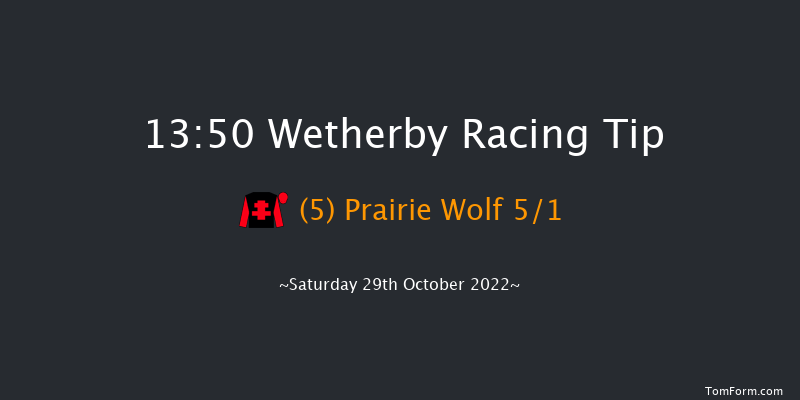 Wetherby 13:50 Novices Hurdle (Class 3) 20f Fri 28th Oct 2022