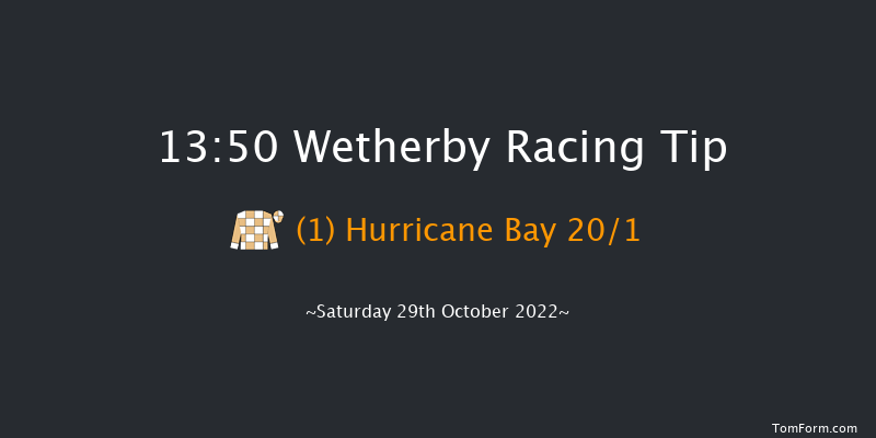 Wetherby 13:50 Novices Hurdle (Class 3) 20f Fri 28th Oct 2022