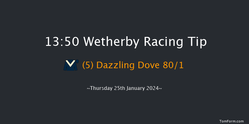 Wetherby  13:50 Handicap Hurdle (Class 5)
20f Wed 27th Dec 2023