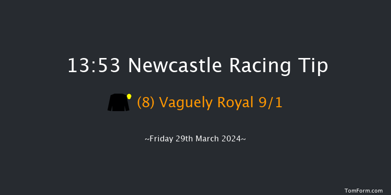 Newcastle  13:53 Handicap (Class 2) 16f Tue 26th Mar 2024