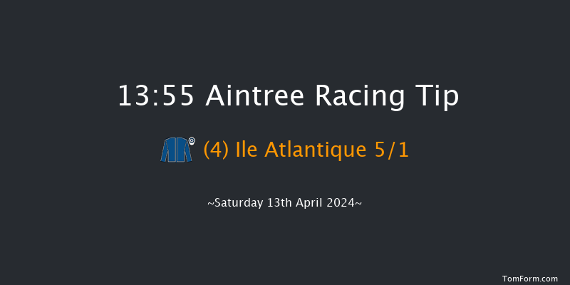 Aintree  13:55 Novices Hurdle (Class 1) 20f Fri 12th Apr 2024