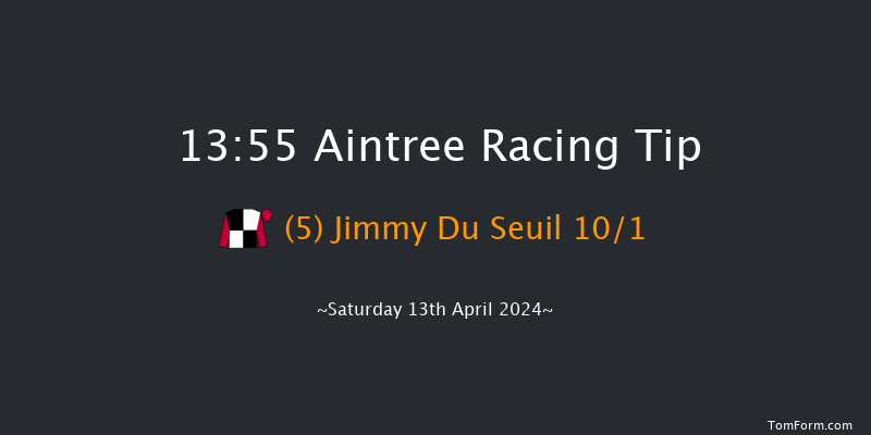 Aintree  13:55 Novices Hurdle (Class 1) 20f Fri 12th Apr 2024