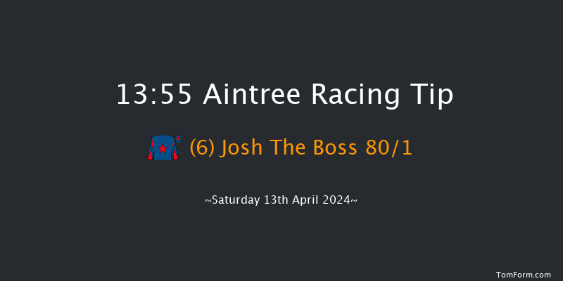 Aintree  13:55 Novices Hurdle (Class 1) 20f Fri 12th Apr 2024