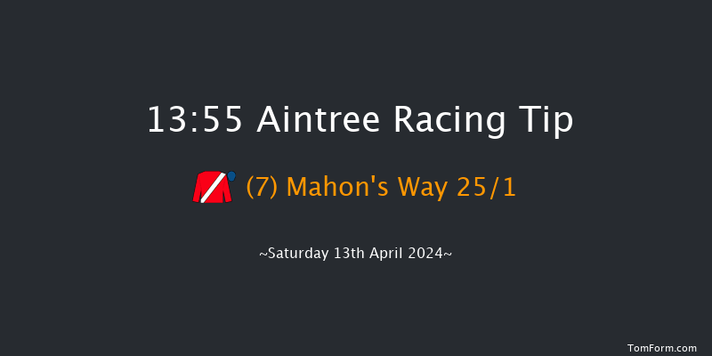 Aintree  13:55 Novices Hurdle (Class 1) 20f Fri 12th Apr 2024