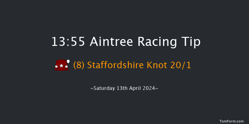 Aintree  13:55 Novices Hurdle (Class 1) 20f Fri 12th Apr 2024