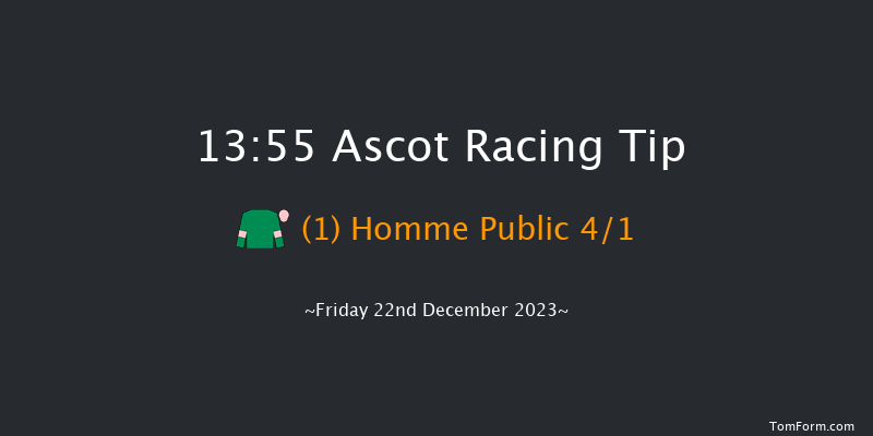 Ascot 13:55 Handicap Chase (Class 3) 17f Sat 25th Nov 2023