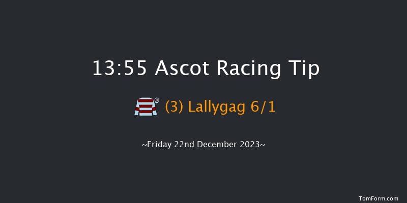 Ascot 13:55 Handicap Chase (Class 3) 17f Sat 25th Nov 2023