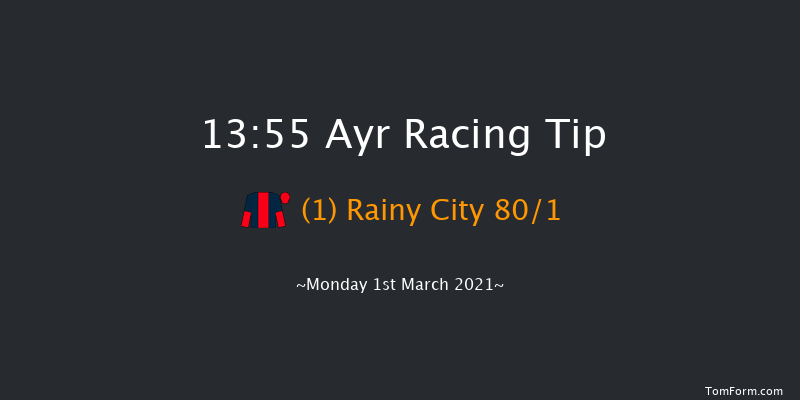 Ayr Racecourse Gift Vouchers Handicap Chase Ayr 13:55 Handicap Chase (Class 4) 20f Mon 18th Jan 2021