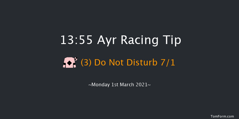 Ayr Racecourse Gift Vouchers Handicap Chase Ayr 13:55 Handicap Chase (Class 4) 20f Mon 18th Jan 2021