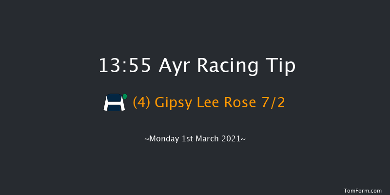 Ayr Racecourse Gift Vouchers Handicap Chase Ayr 13:55 Handicap Chase (Class 4) 20f Mon 18th Jan 2021