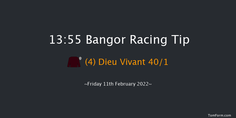 Bangor 13:55 Hunter Chase (Class 6) 24f Thu 13th Jan 2022