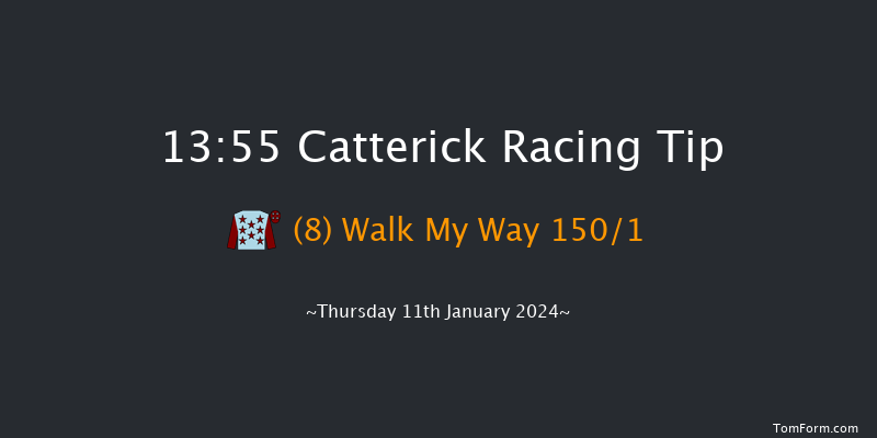 Catterick 13:55 Novices Hurdle (Class 4) 19f Mon 1st Jan 2024