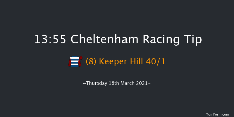 Pertemps Network Final Handicap Hurdle (Grade 3) (GBB Race) Cheltenham 13:55 Handicap Hurdle (Class 1) 24f Wed 17th Mar 2021