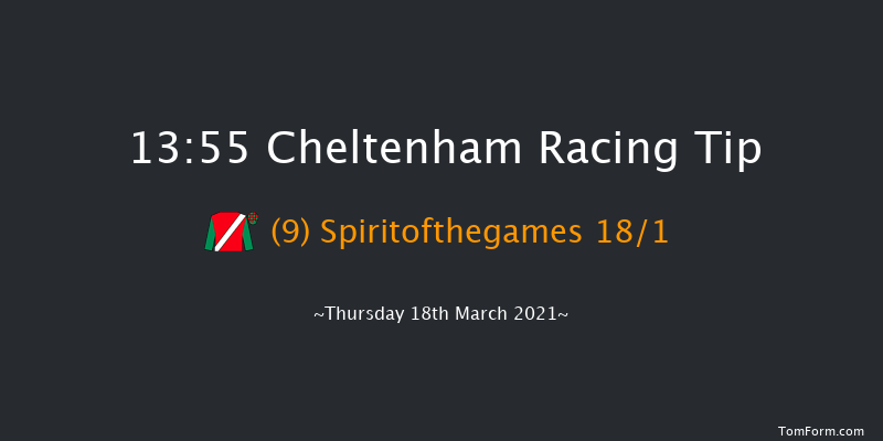 Pertemps Network Final Handicap Hurdle (Grade 3) (GBB Race) Cheltenham 13:55 Handicap Hurdle (Class 1) 24f Wed 17th Mar 2021