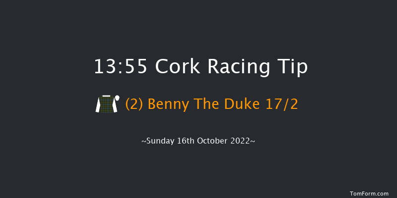 Cork 13:55 Novices Hurdle 24f Tue 27th Sep 2022