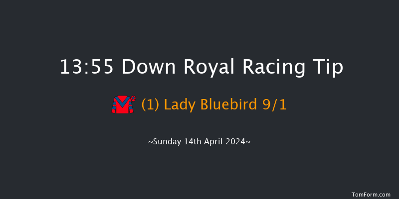 Down Royal  13:55 Maiden Hurdle 20f Sun 17th Mar 2024