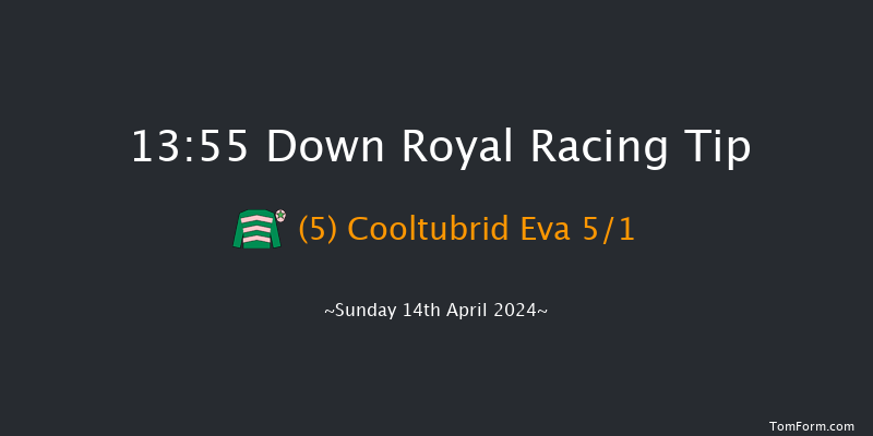 Down Royal  13:55 Maiden Hurdle 20f Sun 17th Mar 2024