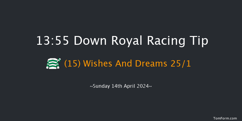 Down Royal  13:55 Maiden Hurdle 20f Sun 17th Mar 2024