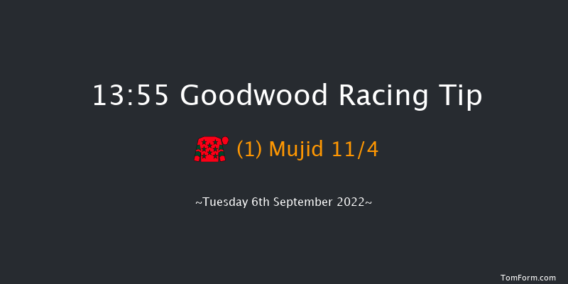 Goodwood 13:55 Handicap (Class 5) 11f Sun 28th Aug 2022