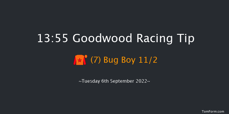 Goodwood 13:55 Handicap (Class 5) 11f Sun 28th Aug 2022