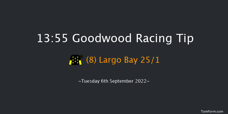 Goodwood 13:55 Handicap (Class 5) 11f Sun 28th Aug 2022