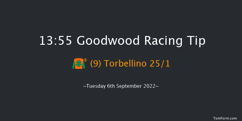 Goodwood 13:55 Handicap (Class 5) 11f Sun 28th Aug 2022