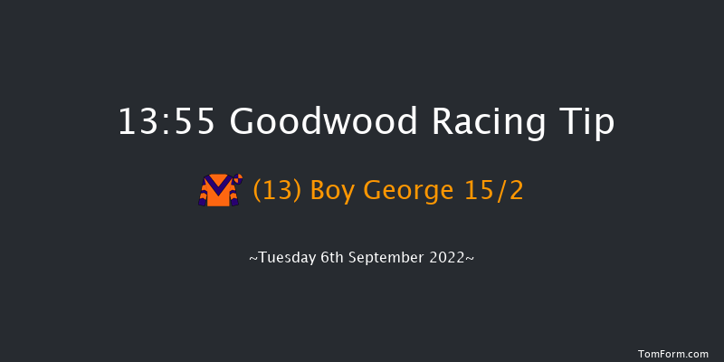 Goodwood 13:55 Handicap (Class 5) 11f Sun 28th Aug 2022