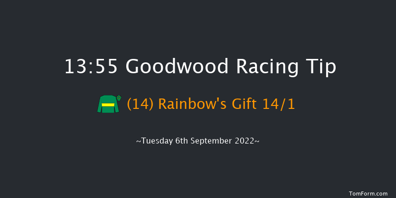 Goodwood 13:55 Handicap (Class 5) 11f Sun 28th Aug 2022