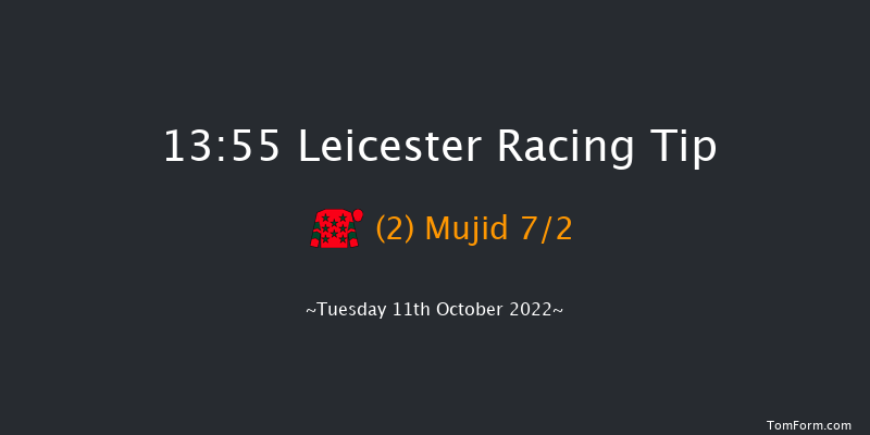 Leicester 13:55 Handicap (Class 5) 10f Tue 4th Oct 2022