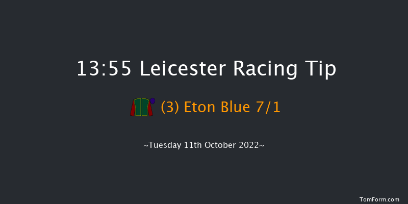 Leicester 13:55 Handicap (Class 5) 10f Tue 4th Oct 2022