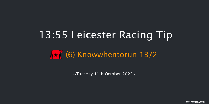 Leicester 13:55 Handicap (Class 5) 10f Tue 4th Oct 2022