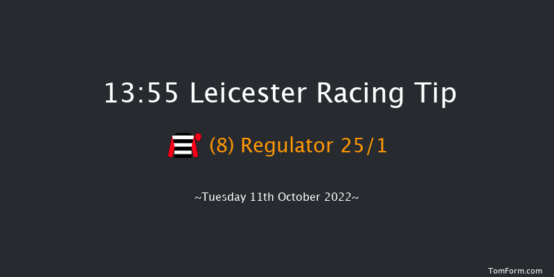 Leicester 13:55 Handicap (Class 5) 10f Tue 4th Oct 2022