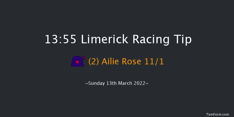 Limerick 13:55 Maiden Hurdle 22f Tue 1st Feb 2022