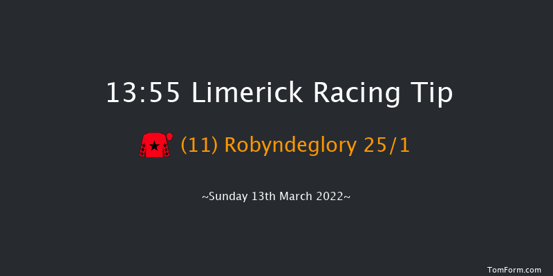 Limerick 13:55 Maiden Hurdle 22f Tue 1st Feb 2022