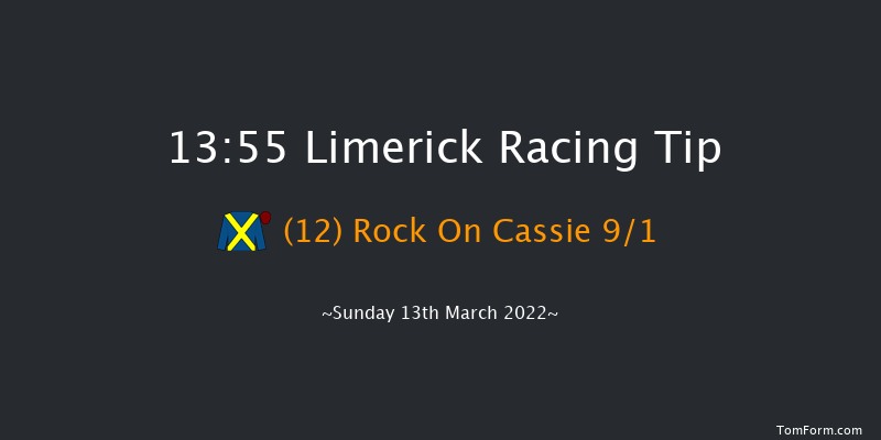 Limerick 13:55 Maiden Hurdle 22f Tue 1st Feb 2022