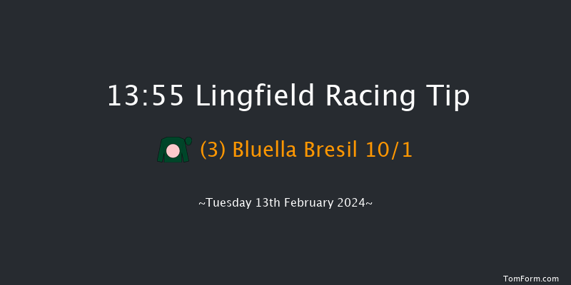 Lingfield  13:55 Maiden Hurdle
(Class 4) 20f Sun 11th Feb 2024