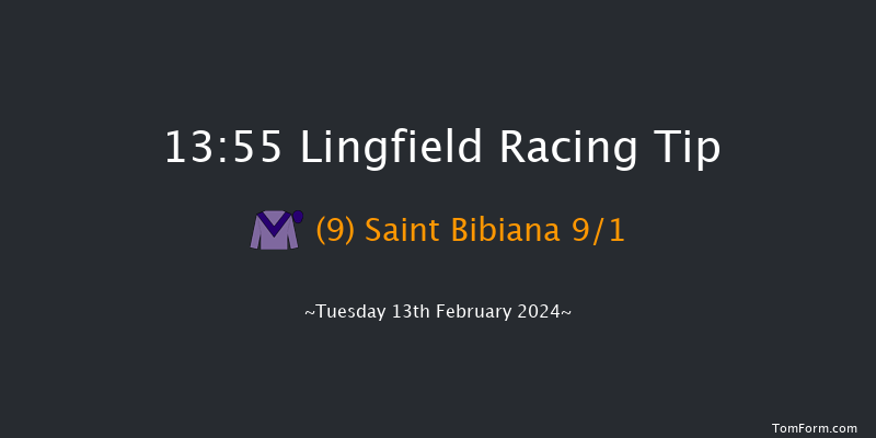 Lingfield  13:55 Maiden Hurdle
(Class 4) 20f Sun 11th Feb 2024