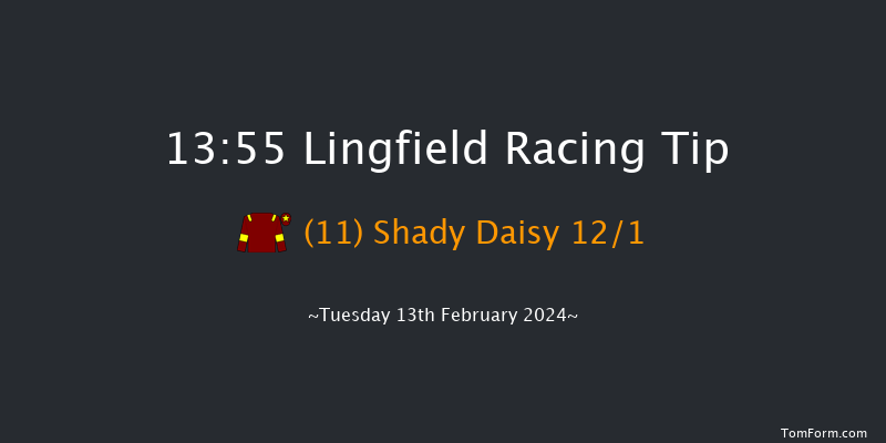 Lingfield  13:55 Maiden Hurdle
(Class 4) 20f Sun 11th Feb 2024