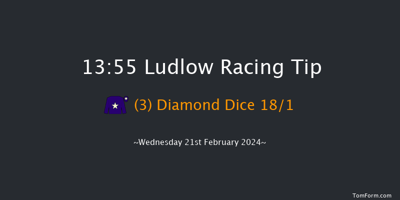 Ludlow  13:55 Maiden Hurdle (Class
4) 16f Wed 7th Feb 2024