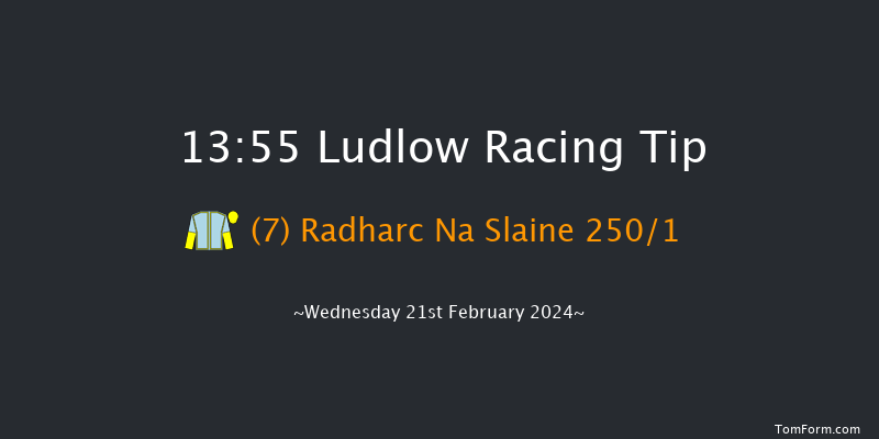 Ludlow  13:55 Maiden Hurdle (Class
4) 16f Wed 7th Feb 2024