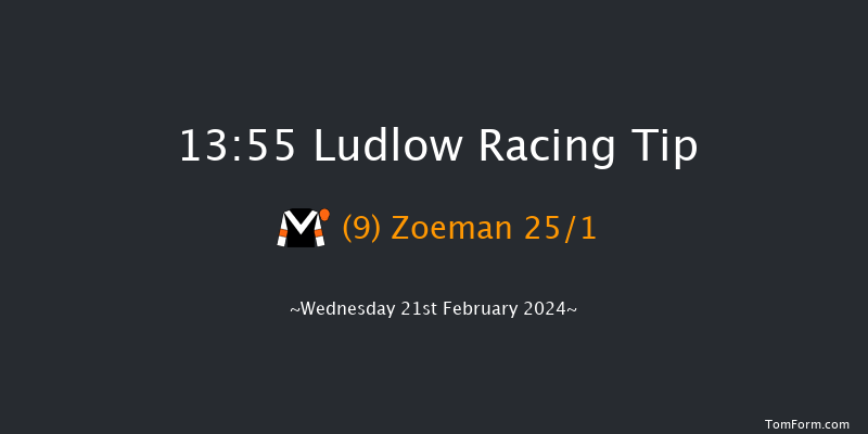 Ludlow  13:55 Maiden Hurdle (Class
4) 16f Wed 7th Feb 2024